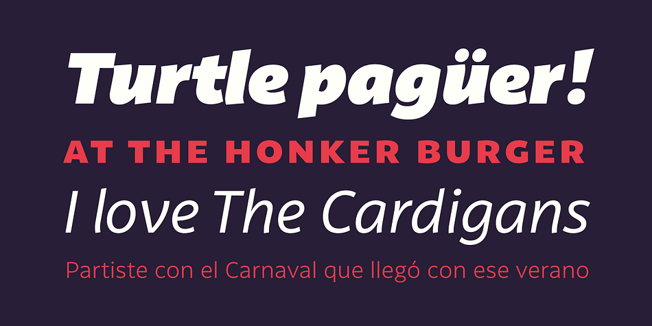Latina is a twenty-two font, sans serif family by Latinotype.