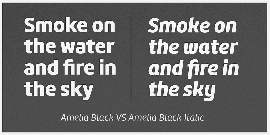 Emphasizing the popular Amelia font family.