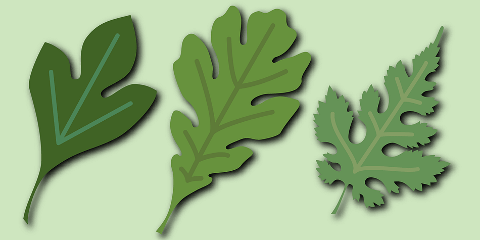 Displaying the beauty and characteristics of the Leaf Assortment font family.
