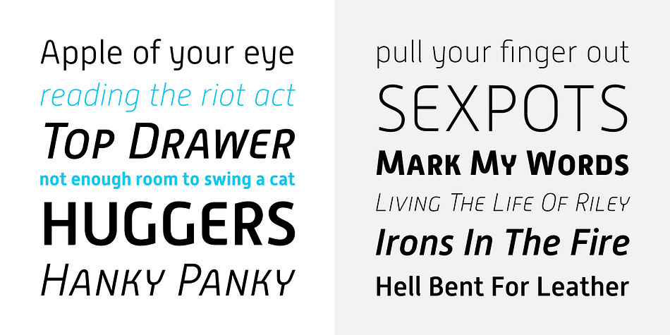 Ranging from Thin to Bold, with Italics in all weights, Alwyn is a perfect choice for a variety of tasks ranging from text setting to signage systems. Alwyn New has been hand hinted for web use.