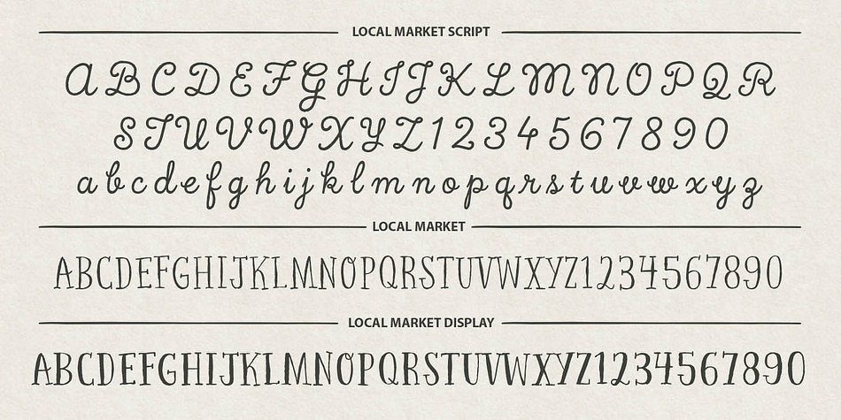The handwritten font styles include Local Market Basic, Display, and Script.