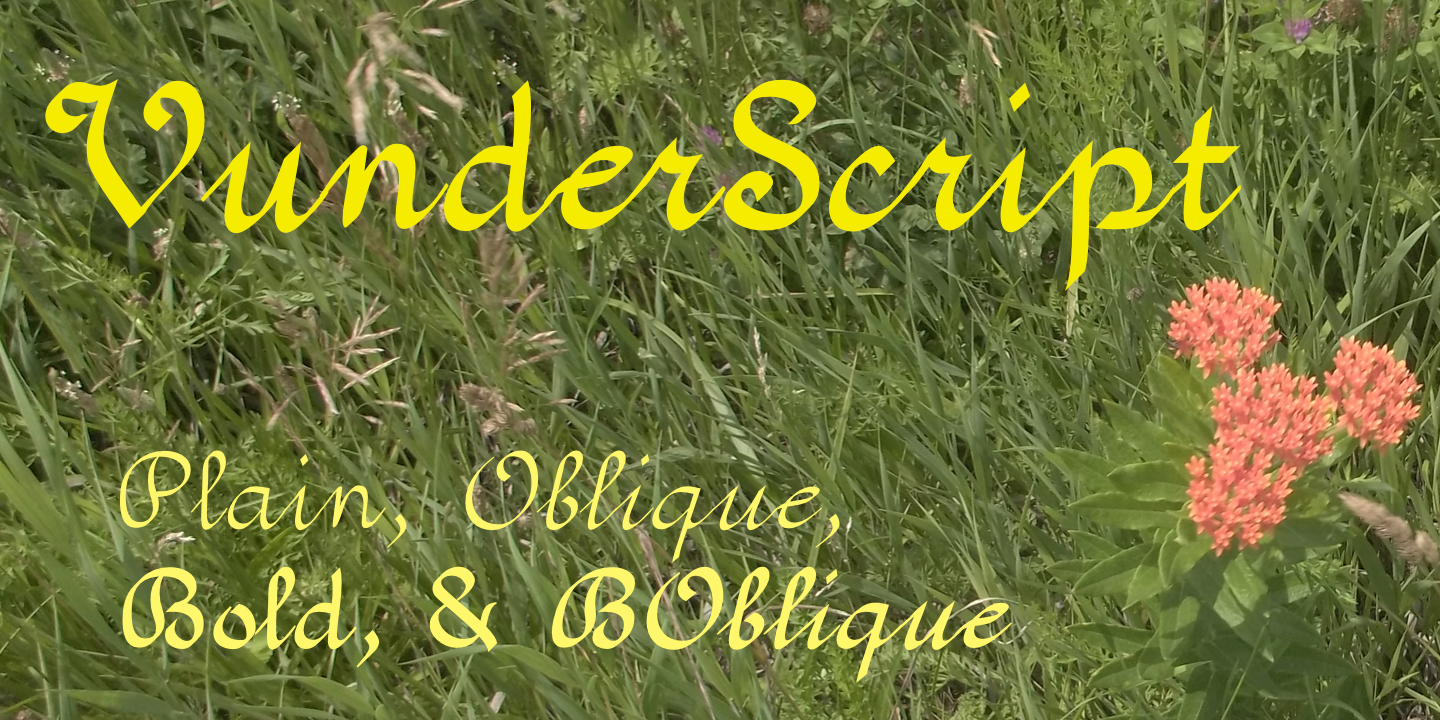 VunderScript