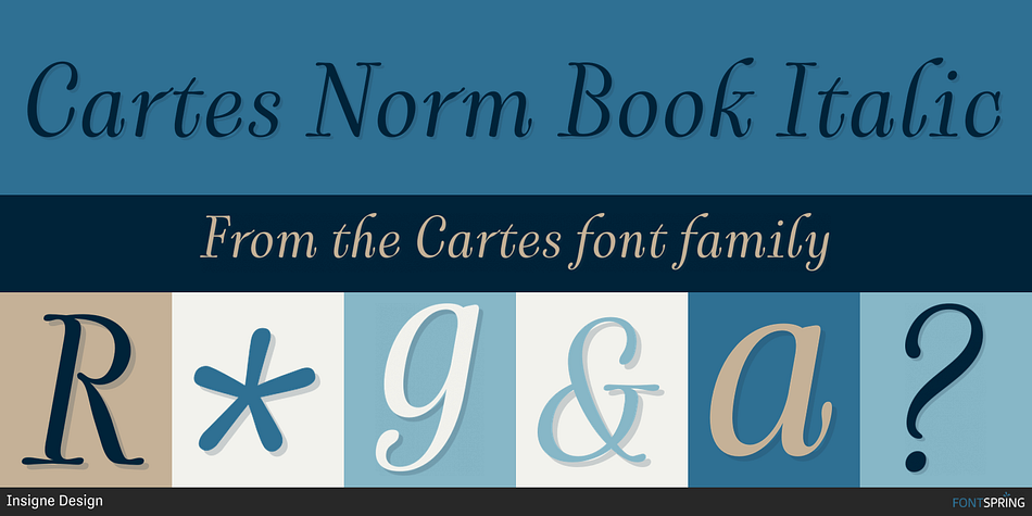 Cartes Norm Book Italic Font