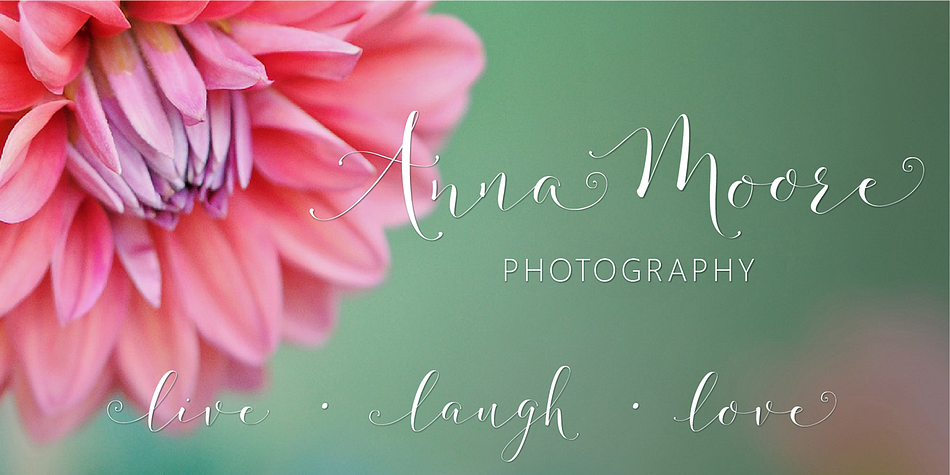 This mix of modern and classic writing is soon going to be your favorite for weddings, stationary, logos and more!