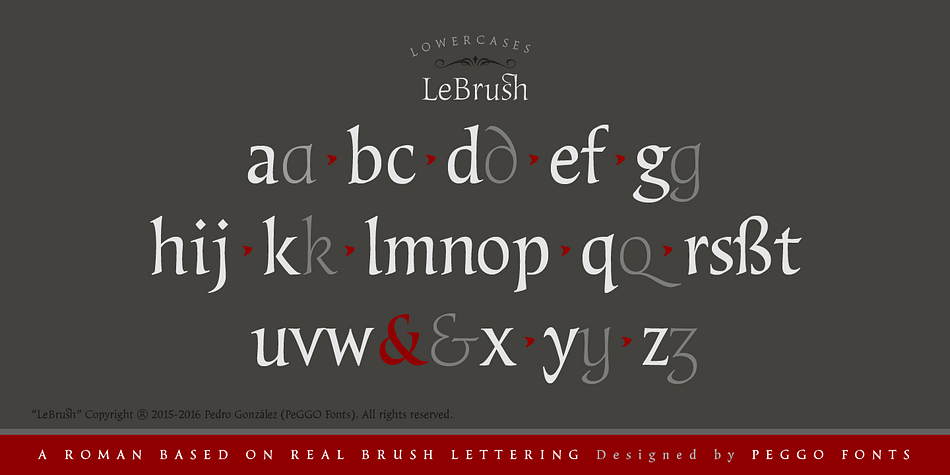 Displaying the beauty and characteristics of the LeBrush font family.