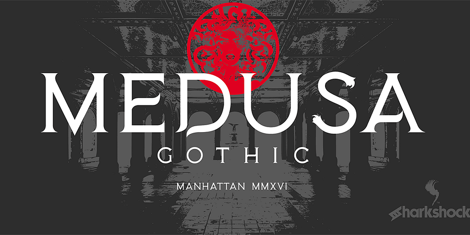 Medusa Gothic is a Romanesque serif display font custom tailored for titles and logos.