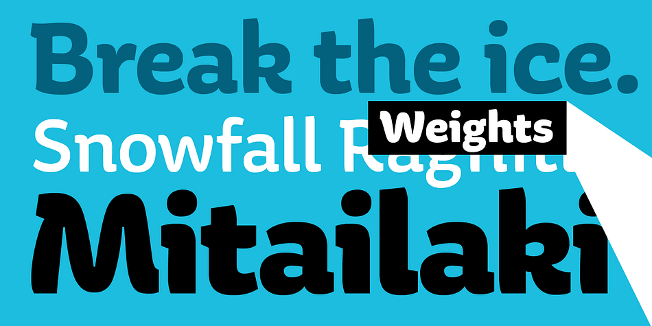 With five robust weights—Regular, Medium, Bold, Heavy and Black—it is perfectly suited for editorial, posters or logo design.