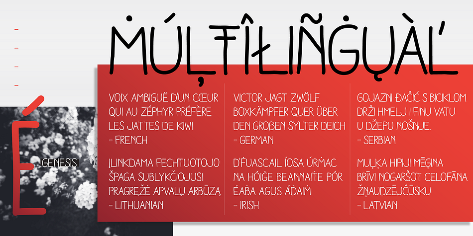 Its glyph coverage supports languages such as English, Spanish, French, German, Polish, Czech, among many others.