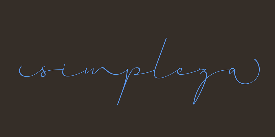 Emphasizing the favorited Horizontes Script font family.