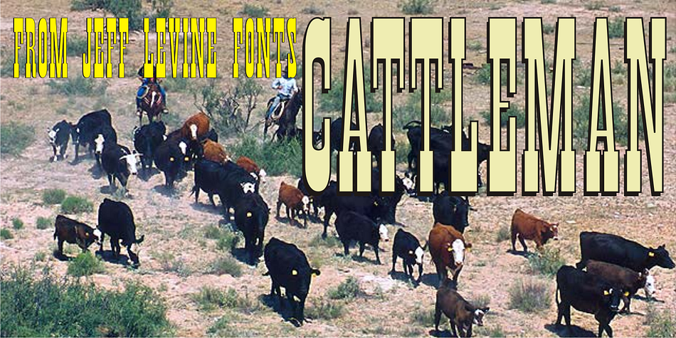 Cattleman JNL is a reinterpretation of a classic ultra-condensed wood type in the French Clarendon style often associated with Western-themed fliers and posters.