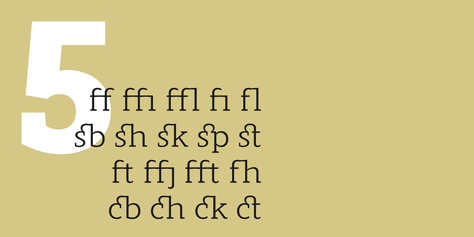 Displaying the beauty and characteristics of the Modum font family.