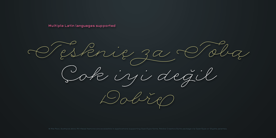 To explore its full potential, please use it in a program that supports OpenType features for advanced typography.