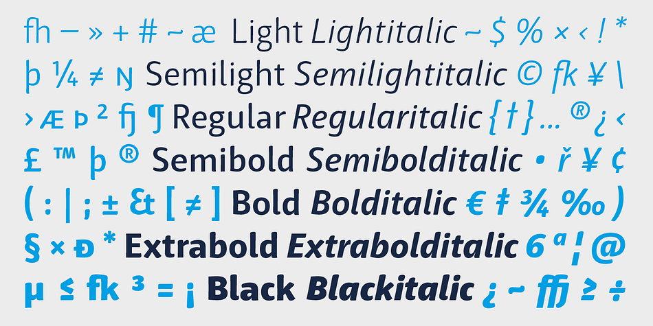 In 2008 Henning Skibbe was awarded at the TDC Typeface Design Competition for Haptic.