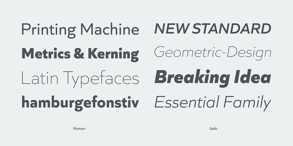 Displaying the beauty and characteristics of the Quiet Sans font family.