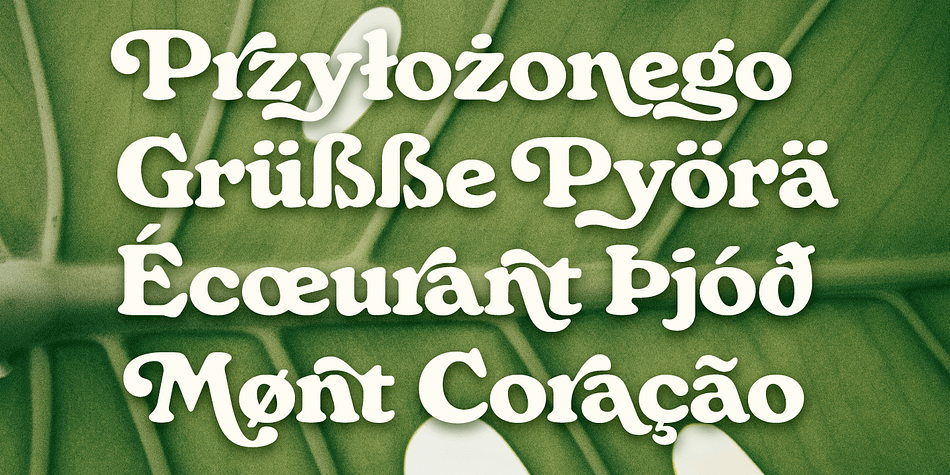 Monstera Font