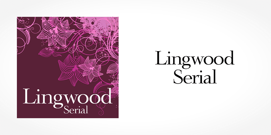 Displaying the beauty and characteristics of the Lingwood Serial font family.