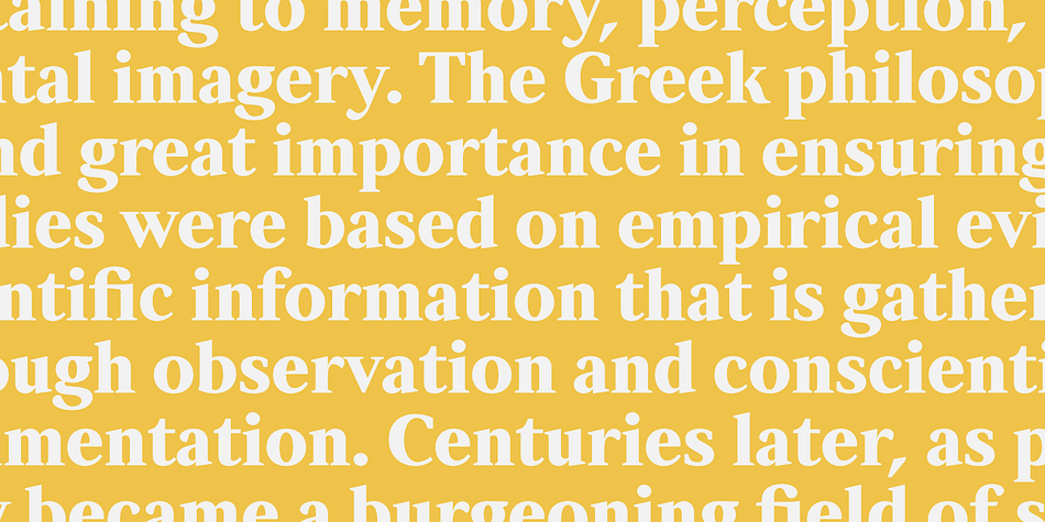 Displaying the beauty and characteristics of the Strato Pro font family.