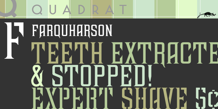Displaying the beauty and characteristics of the Farquharson font family.