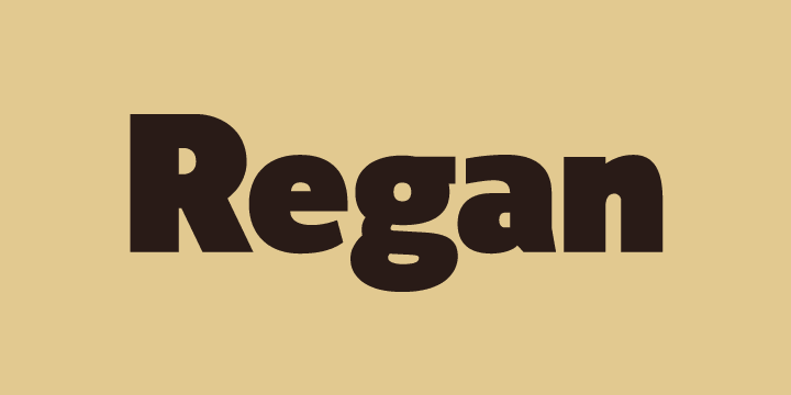 A finely crafted sans serif typeface with an uncomplicated appearance.