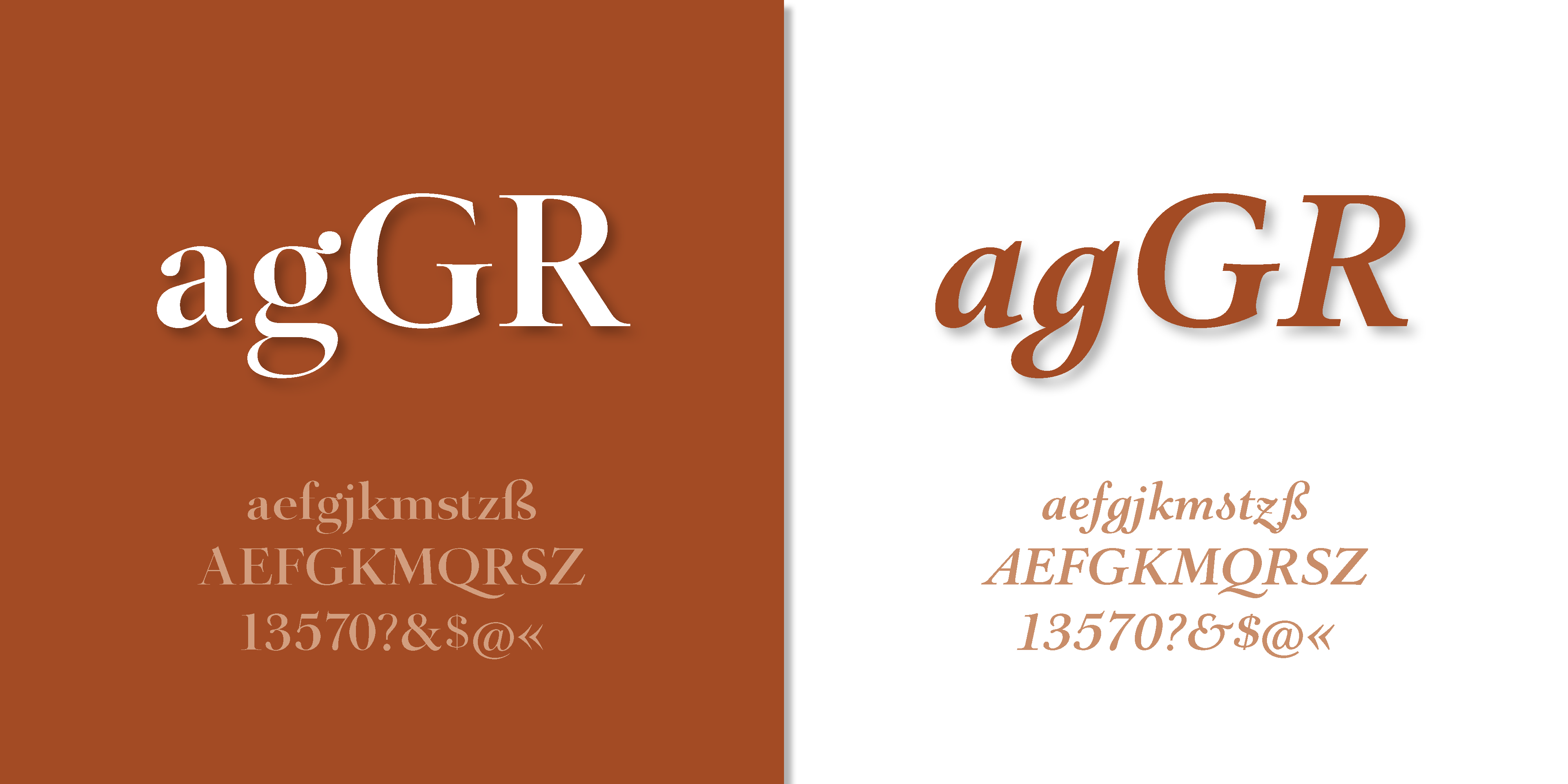 Barocco PRO Font, image size:4000x2000