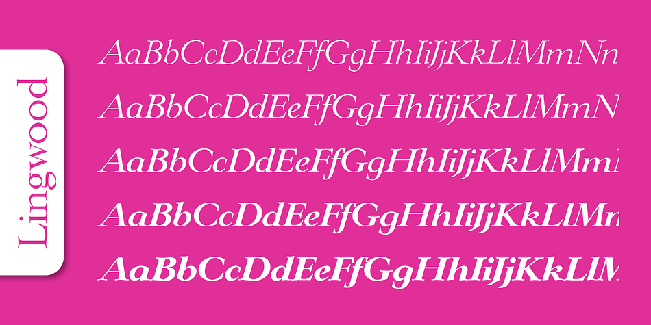 Emphasizing the popular Lingwood Serial font family.