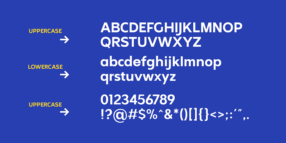 Northern Sans Font
