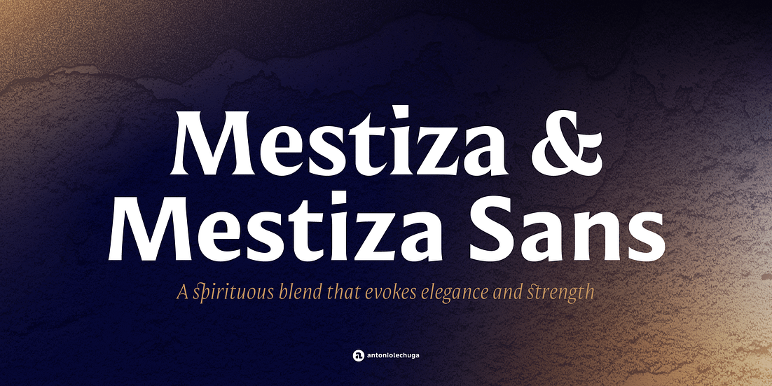 Mestiza & Mestiza Sans Font Poster