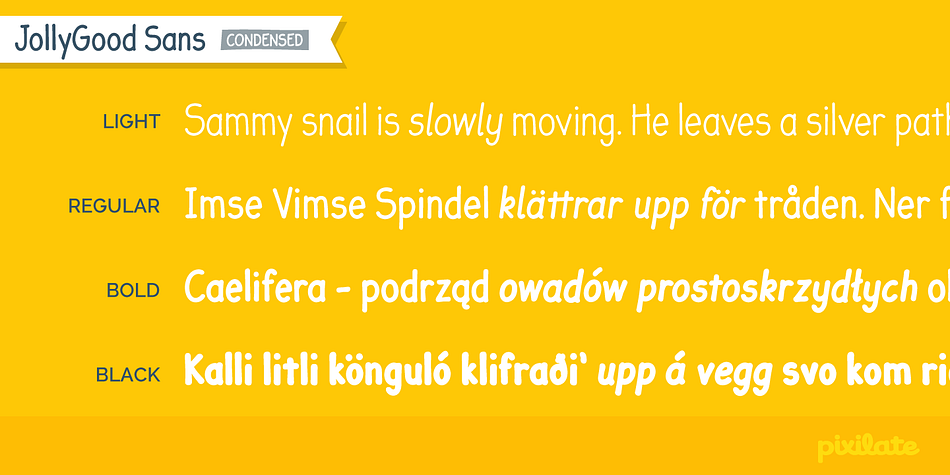 It is a complete complete family with 4 weights in regular and italic (8 fonts in total).