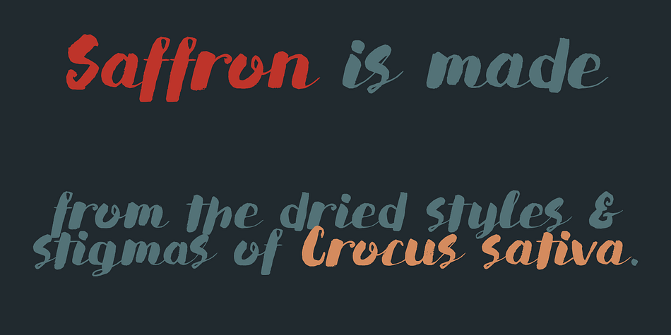 Saffron Walden is a fattish, inky brush font, with a slight tilt to the right.