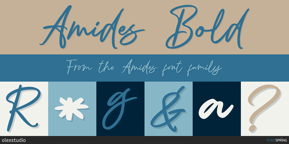 Amides Bold Font