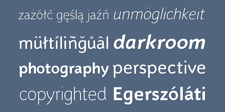 Emphasizing the favorited Murena font family.