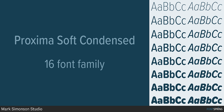 - Same 48 weights/styles as Proxima Nova
- Same language coverage (including Greek and Cyrillic)
- Same alternate characters (a, l, y, G, 1, 0)
- Proportional and tabular figures
- Fraction support
- Ordinal support
- Case sensitive forms.