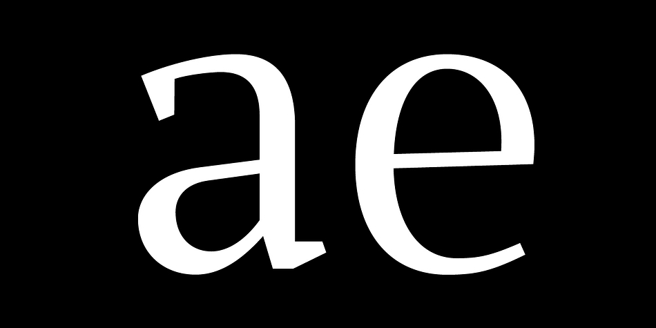 Displaying the beauty and characteristics of the Buozzi font family.