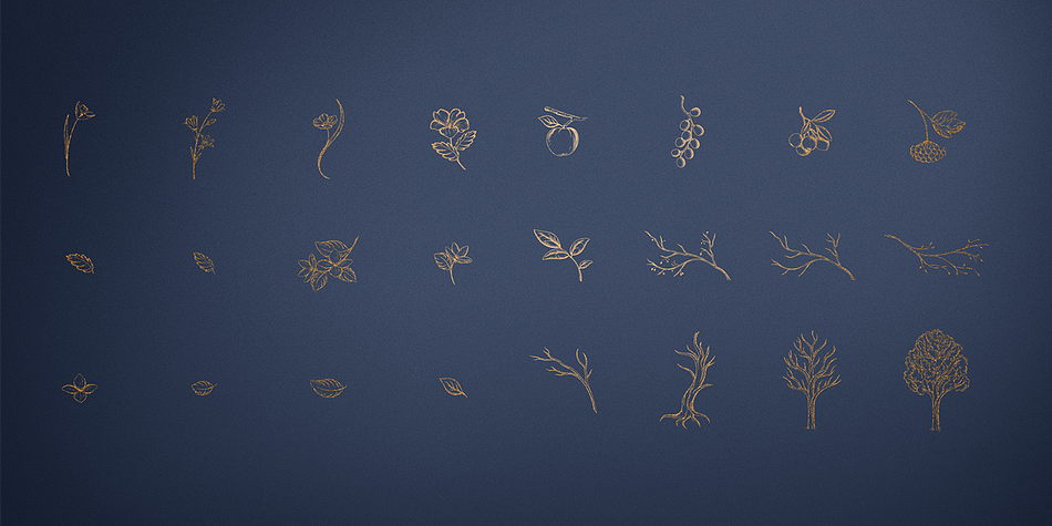 Explorers Font