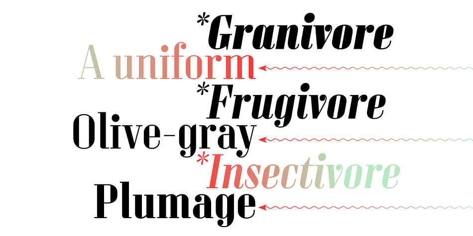 Sperling FY is a an eight font family.