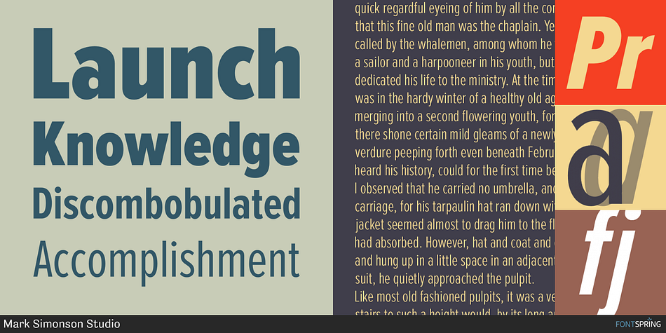 Highlighting the Proxima Nova Condensed font family.