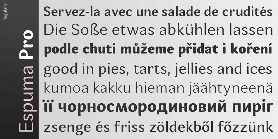 Presented in 7 weights, with true italics each, it features the traditionally rich language support, small caps, 6 sets of figures and a bunch of ligatures.
