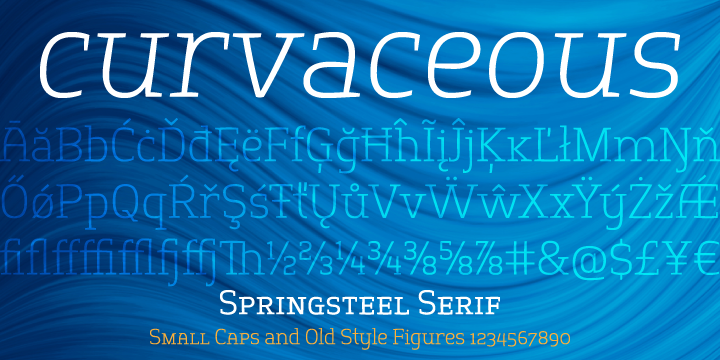 Like the sans-serif, it has unusual construction using curves on the outside and straight lines inside characters, giving it quite an expressive and warm feel.