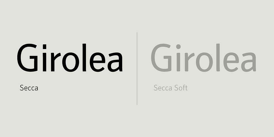 With its workhorse qualities, Secca is perfectly suited for a wide range of applications – especially where legibility and economy are important factors.