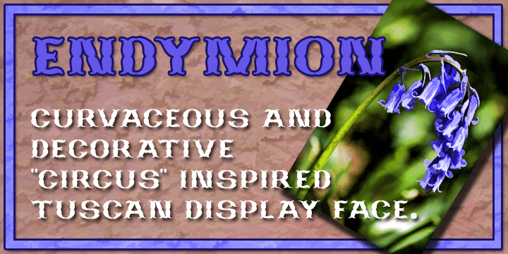 Endymion is a Tuscan display face that speaks of traditional fairgrounds and circuses, or 19th century poster design and even of the wild west.