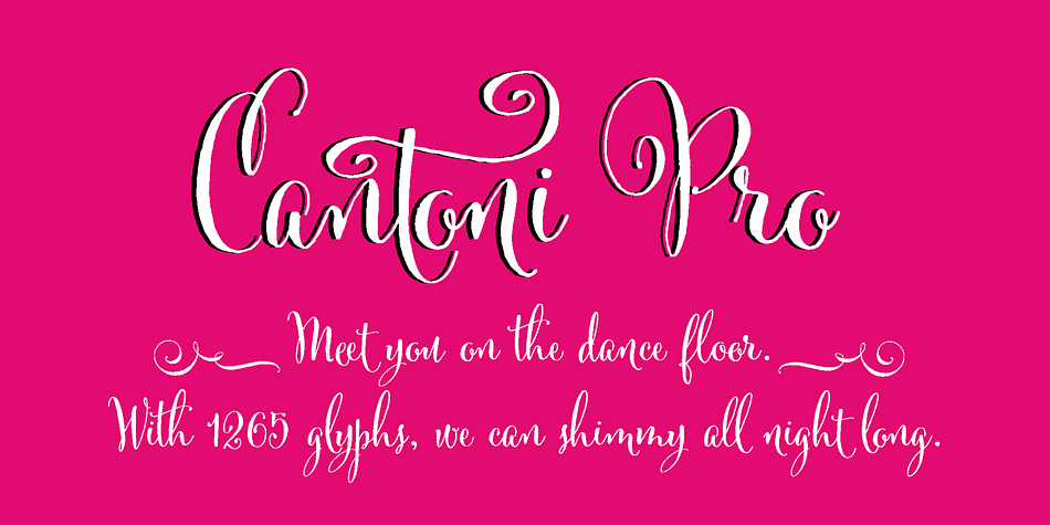 Displaying the beauty and characteristics of the Cantoni font family.