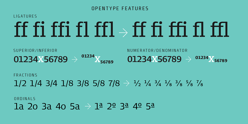 Highlighting the Bommer Slab font family.