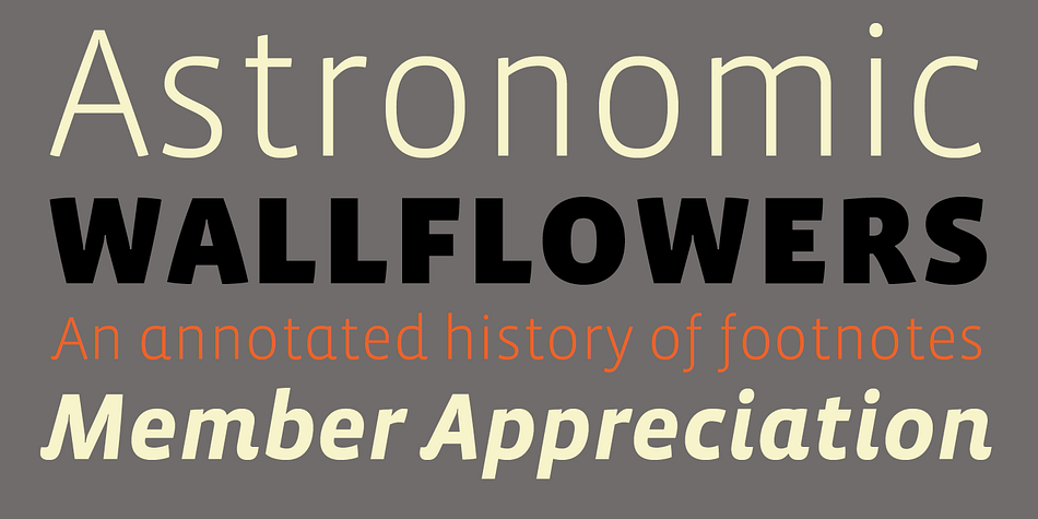 Each of the six weights includes alternate, small cap and italic variants for a total of 36 fonts in the family.