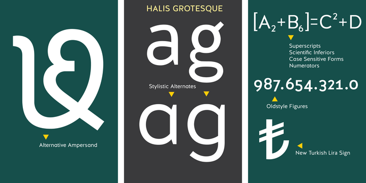 That’s why this font’s name is inscribed with a dedication to the venerable Halis Biçer.