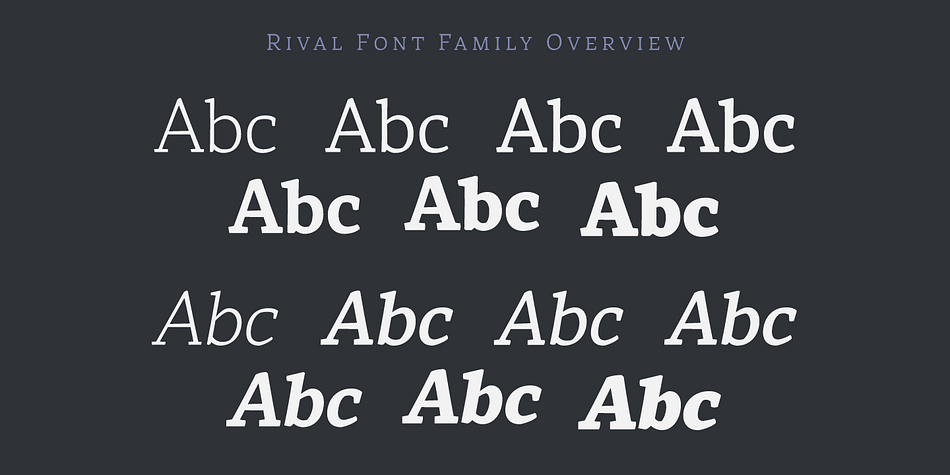 Rival provides advanced typographical support with OpenType features such as small caps, ligatures, discretionary ligatures, old style figures, case-sensitive forms, slashed zero, fractions, and pro kerning.