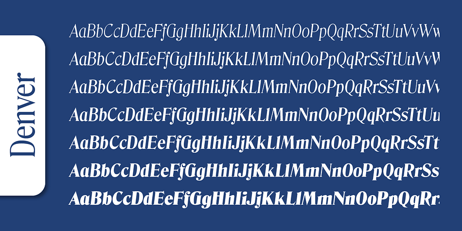 Emphasizing the popular Denver Serial font family.