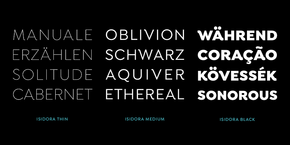 Both subfamilies come in italic version, giving a total of 28 fonts.