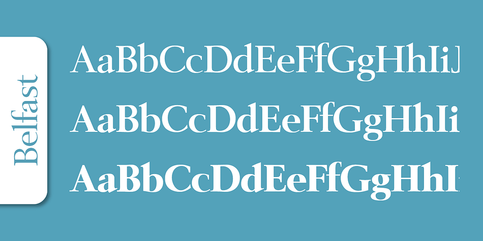 Emphasizing the popular Belfast Serial font family.