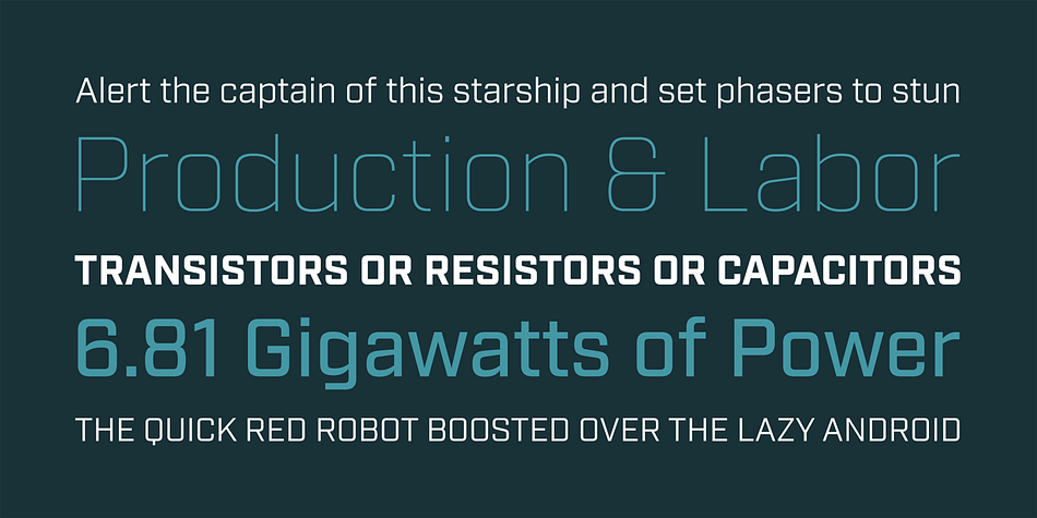 The sans serif family includes six weights with corresponding italics.