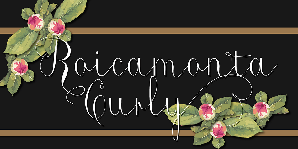 Emphasizing the favorited Roicamonta font family.